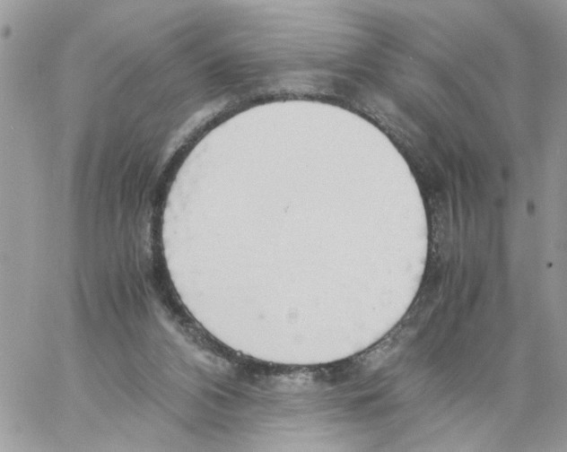 X0000058130112200510212055