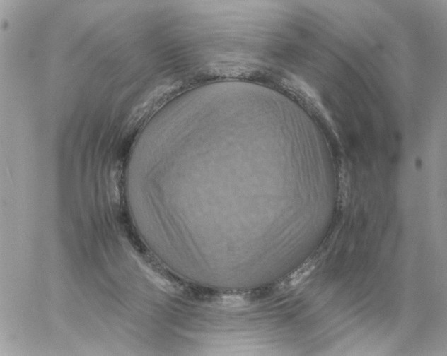 X0000058130114200510212055