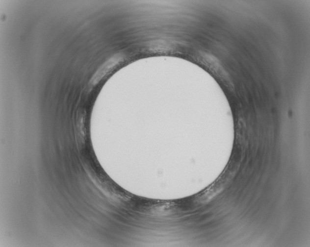 X0000058130116200510212055