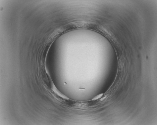 X0000058130117200510212055