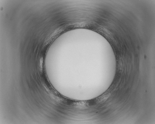 X0000058130118200510212055