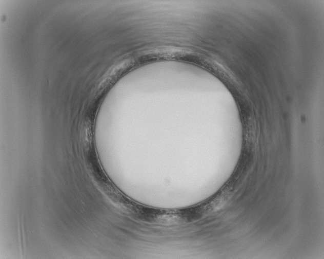 X0000058130119200510212055