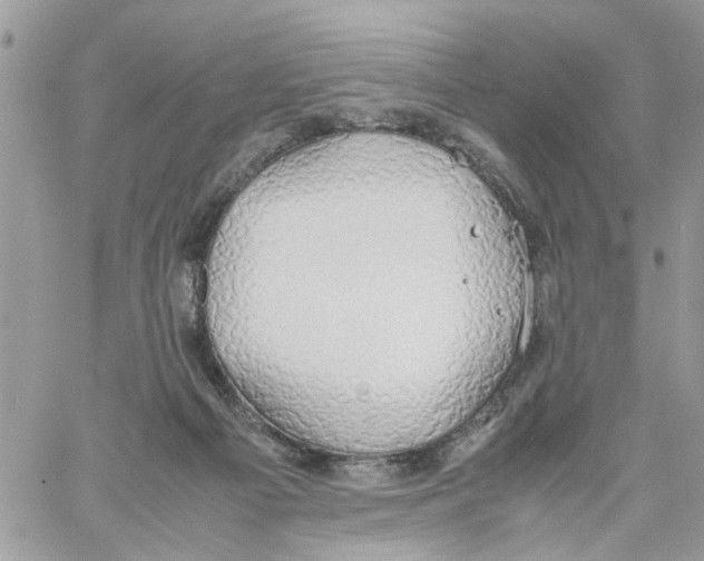 X0000058130121200510212055