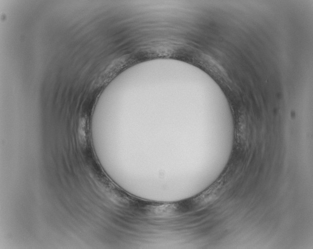 X0000058130122200510212055