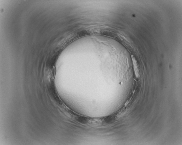 X0000058130125200510212055