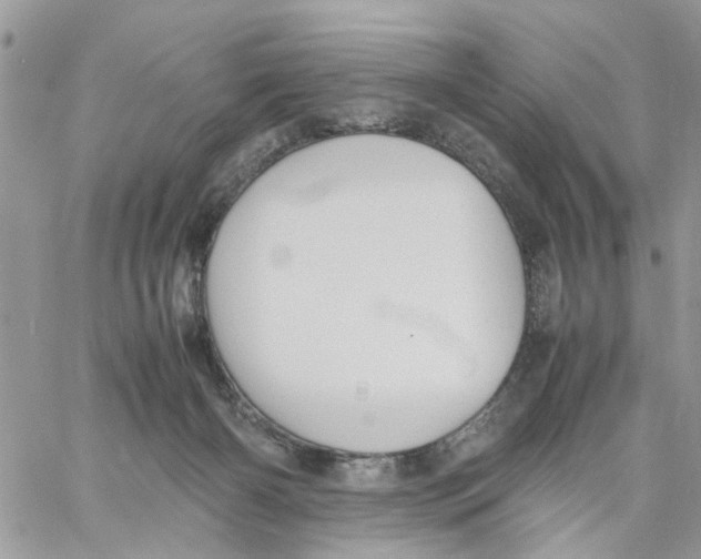 X0000058130126200510212055