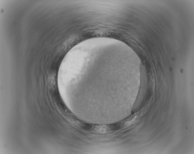 X0000058130127200510212055