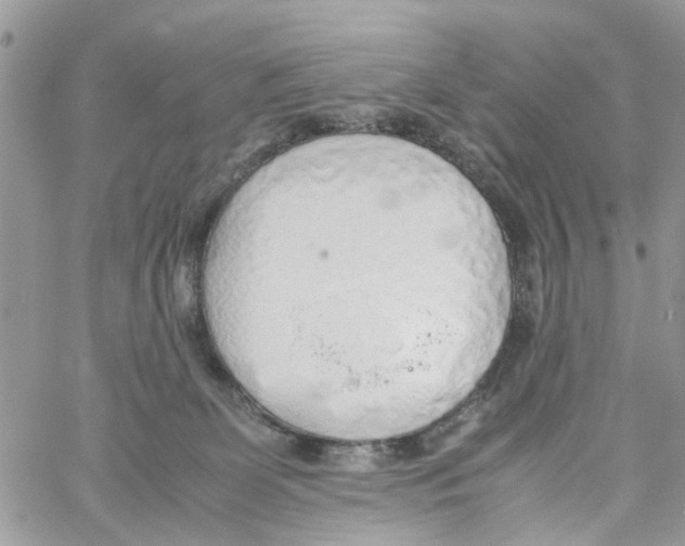 X0000058130131200510212055