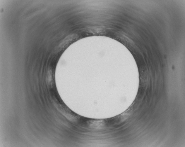 X0000058130132200510212055