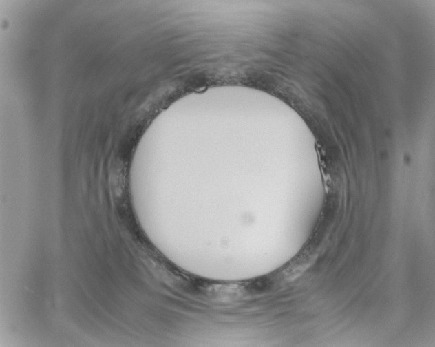 X0000058130133200510212055