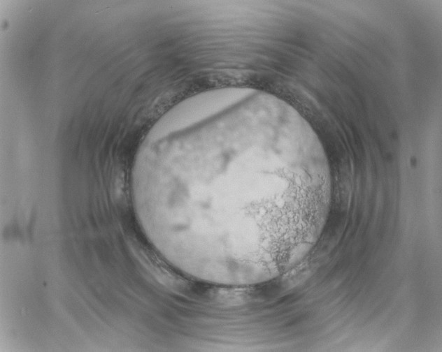 X0000058130134200510212055