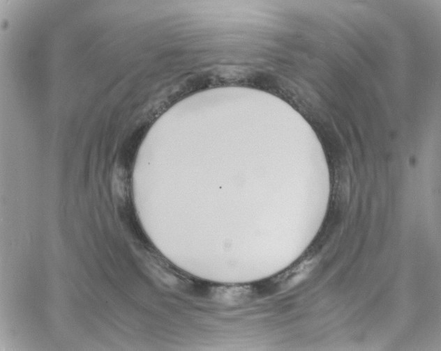 X0000058130135200510212055