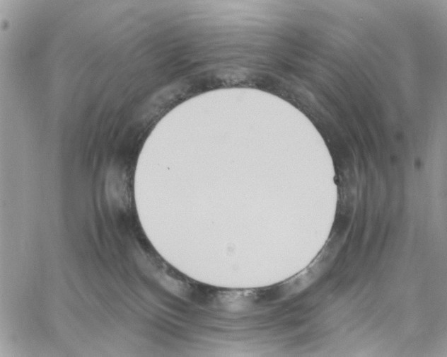 X0000058130136200510212055