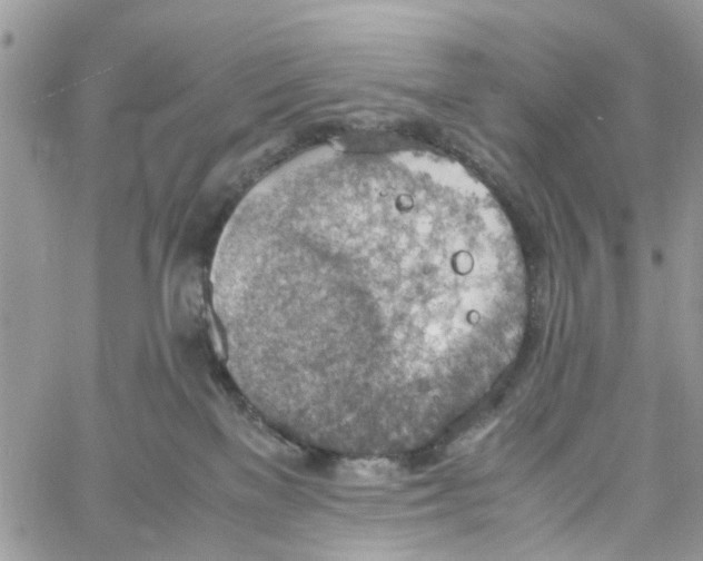 X0000058130137200510212055