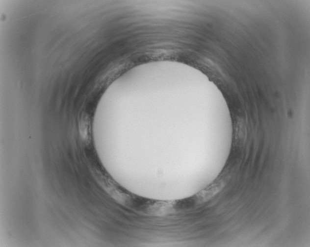 X0000058130138200510212055