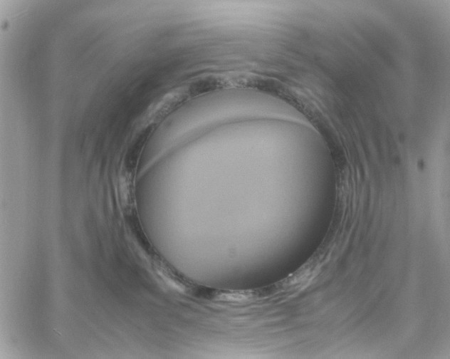 X0000058130139200510212055