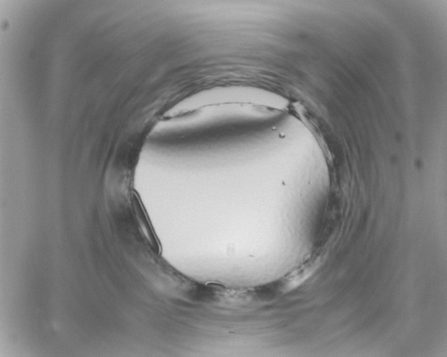 X0000058130141200510212055