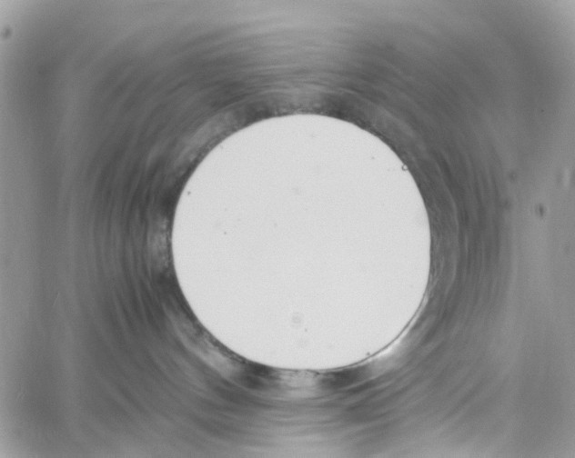 X0000058130144200510212055