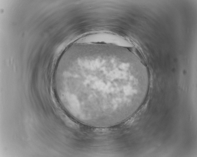 X0000058130145200510212054