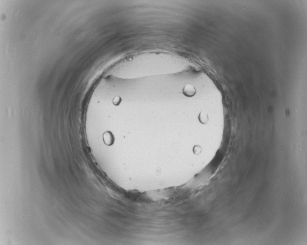 X0000058130146200510212054