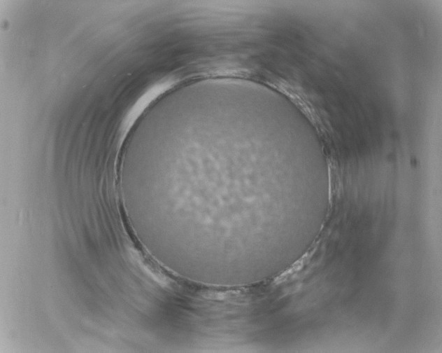 X0000058130147200510212054