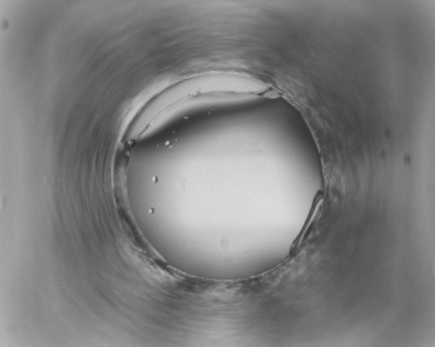 X0000058130148200510212054