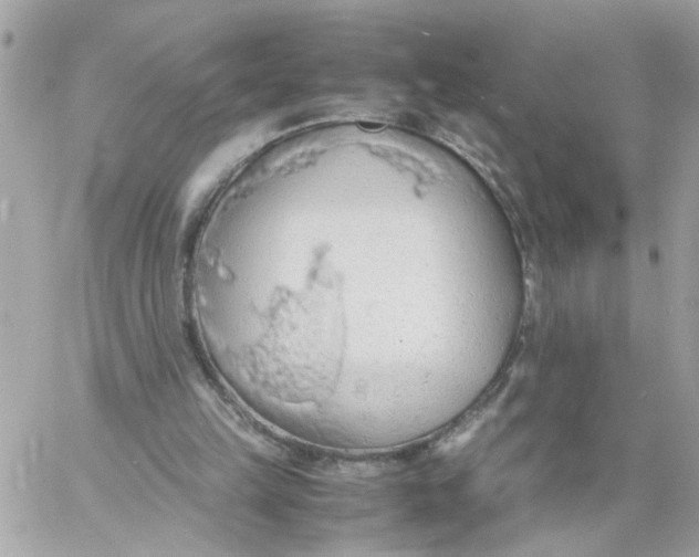 X0000058130149200510212054