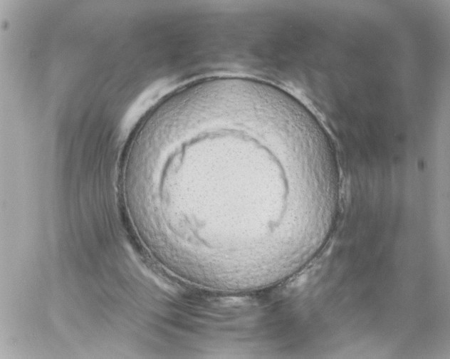 X0000058130151200510212054