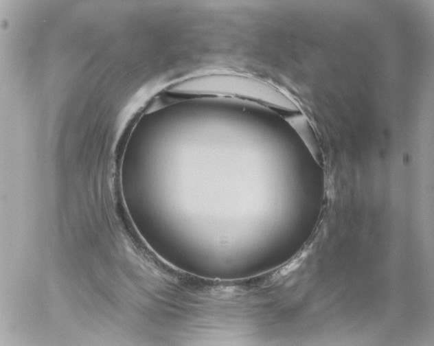 X0000058130152200510212054