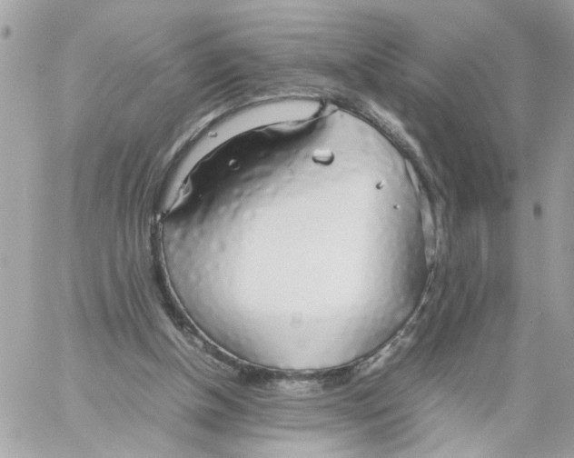 X0000058130154200510212054