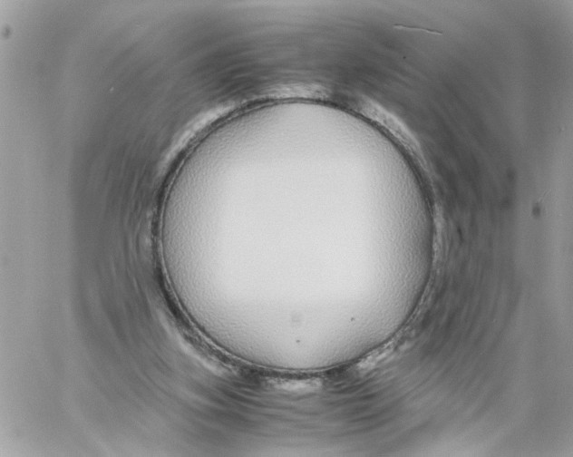 X0000058130155200510212054