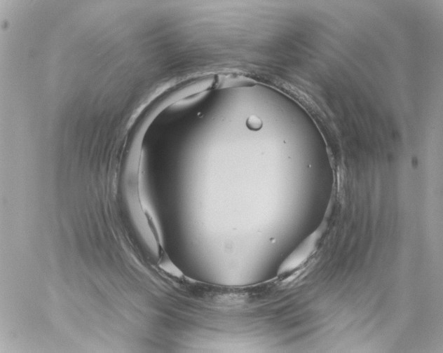 X0000058130156200510212054