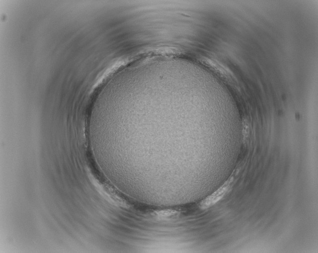 X0000058130158200510212054