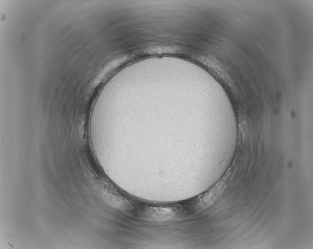 X0000058130159200510212054