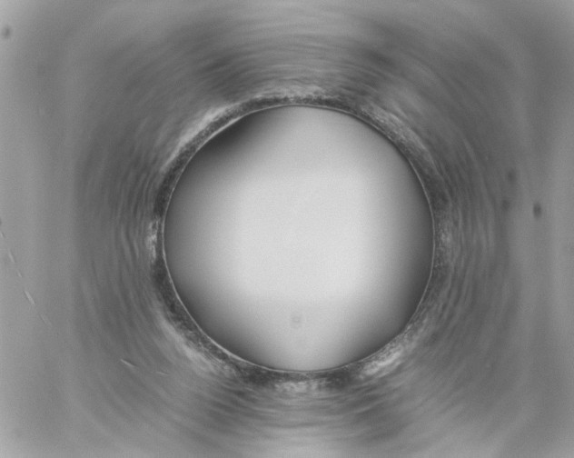 X0000058130160200510212054