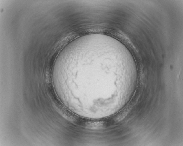 X0000058130161200510212054