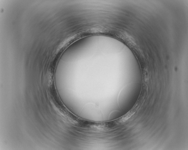 X0000058130164200510212054