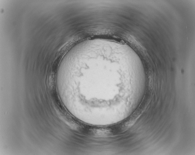 X0000058130165200510212054