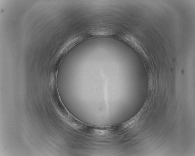 X0000058130167200510212054