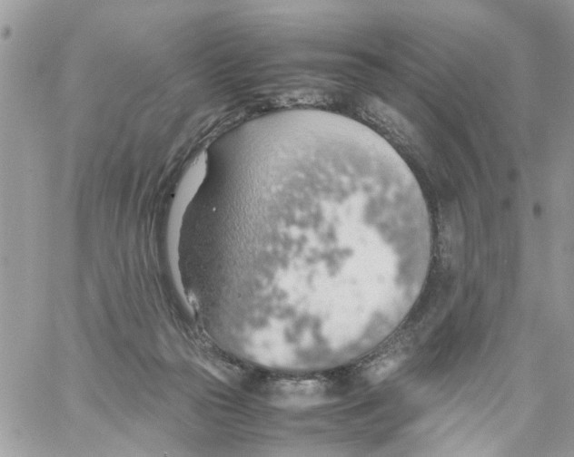 X0000058130169200510212054