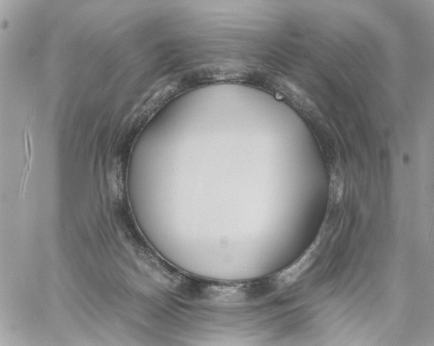 X0000058130170200510212054