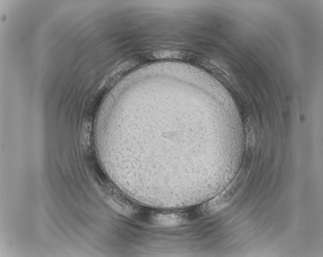 X0000058130171200510212055