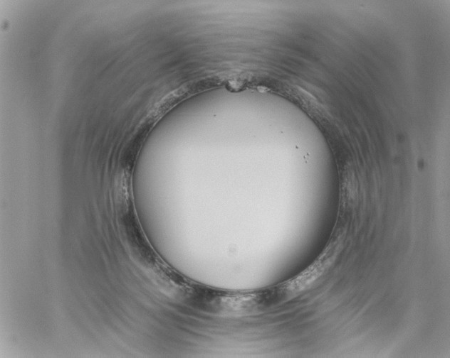 X0000058130172200510212055