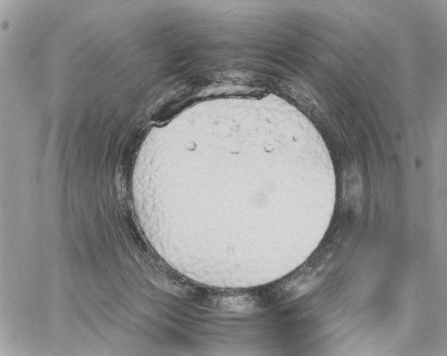 X0000058130173200510212055