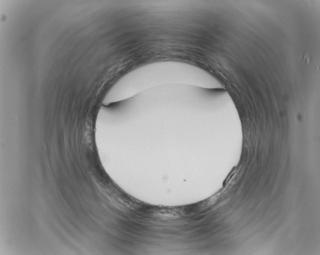 X0000058130175200510212055