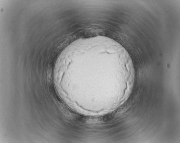 X0000058130177200510212055