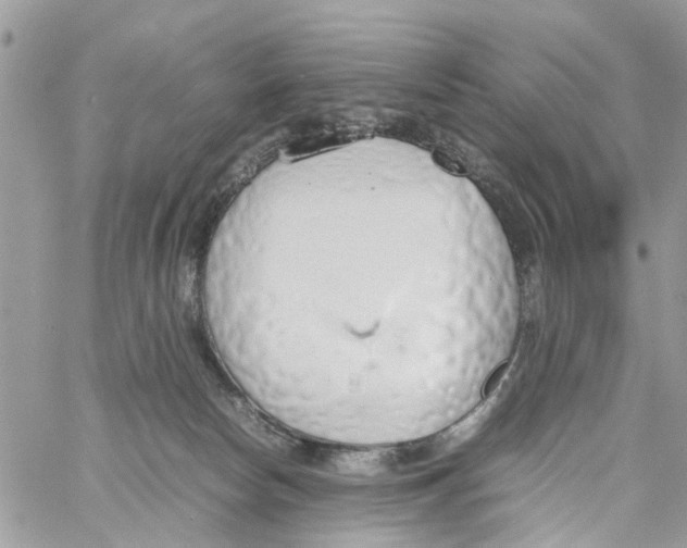 X0000058130178200510212055