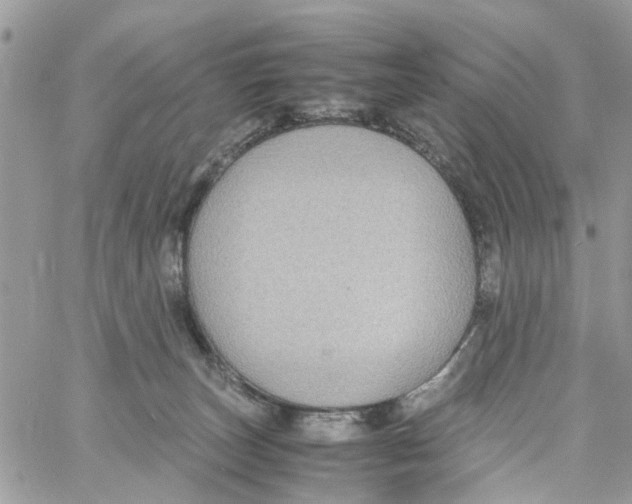 X0000058130179200510212055