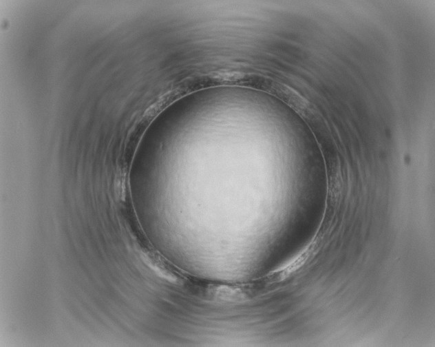 X0000058130180200510212055