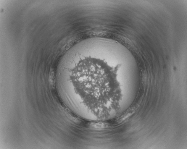 X0000058130181200510212055